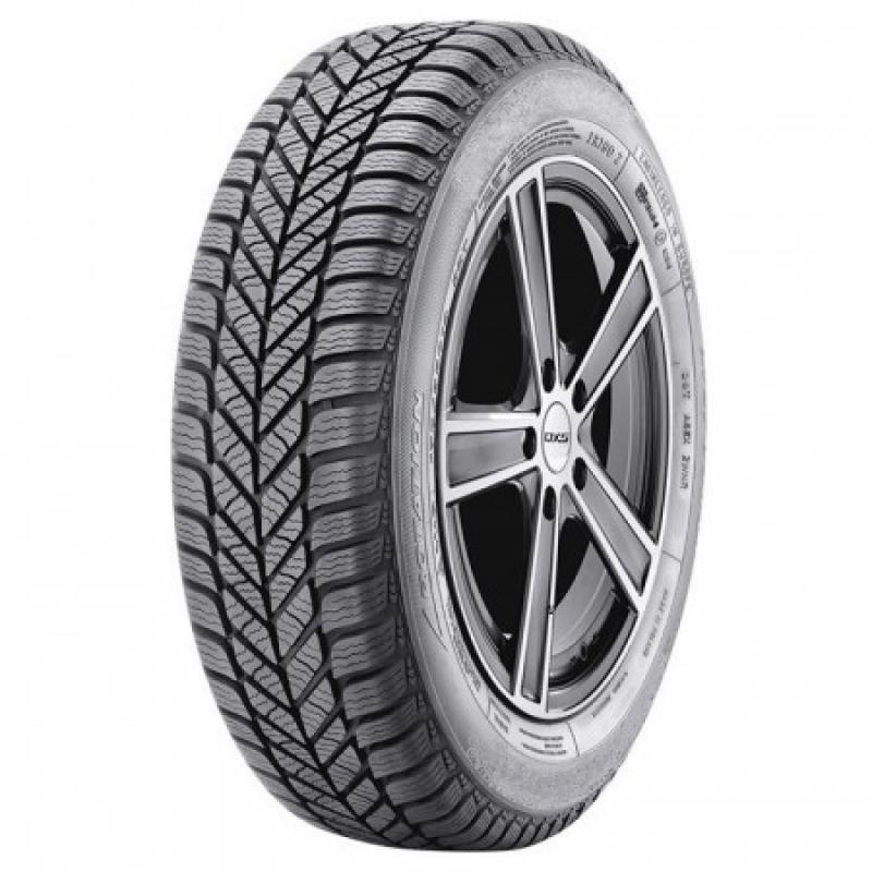 Diplomat DIPLOMAT WINTER HP 195/65 R15 91H